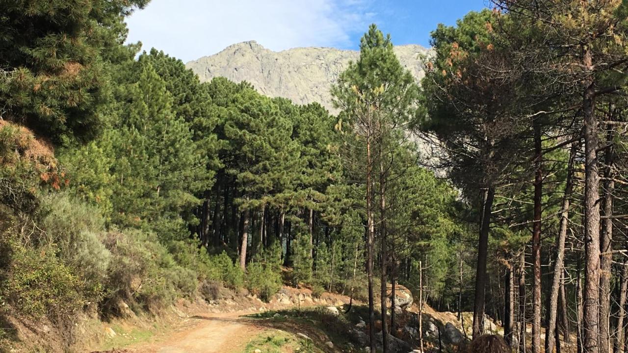 La Calleja Villarejo del Valle Eksteriør bilde